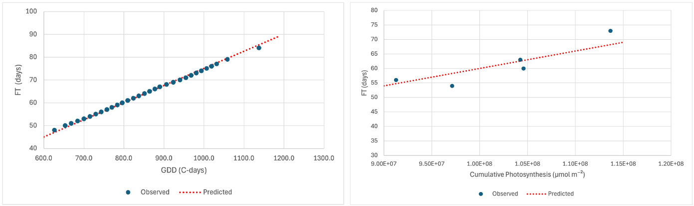 Model fit on Davis data
